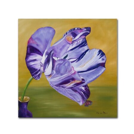 Trademark Fine Art Lily van Bienen 'Blue Lady Virus Tulip' Canvas Art, 24x24 ALI5673-C2424GG